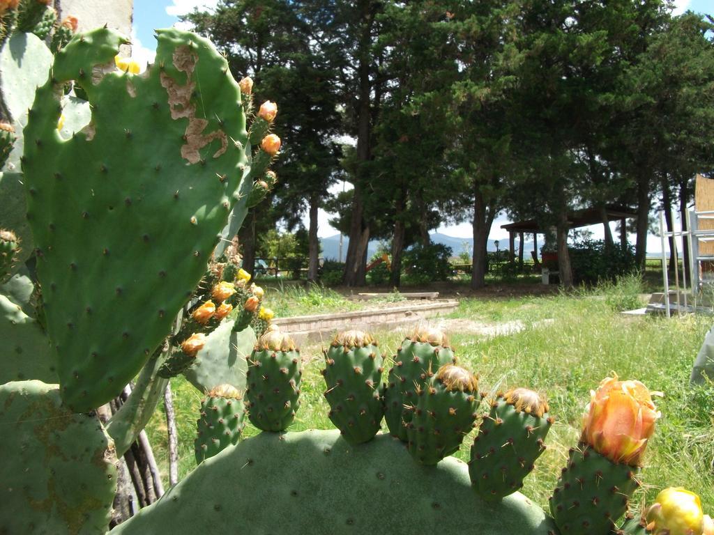 Agriturismo Mandriato Santa Luce Exteriör bild