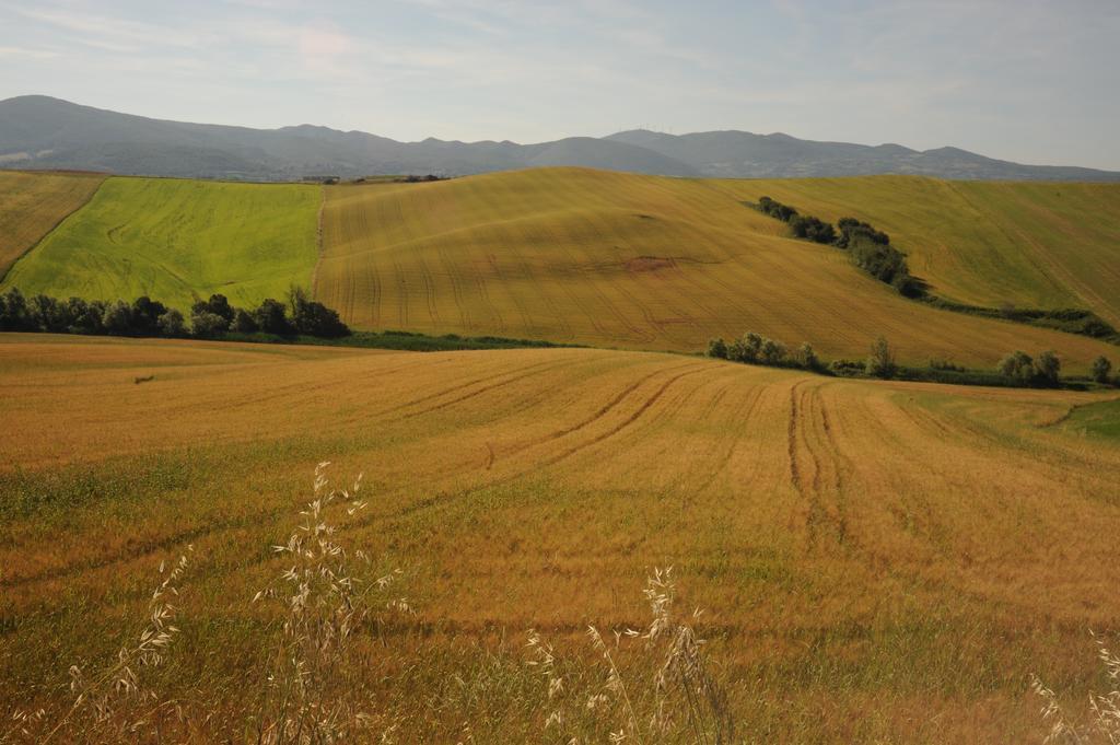 Agriturismo Mandriato Santa Luce Exteriör bild